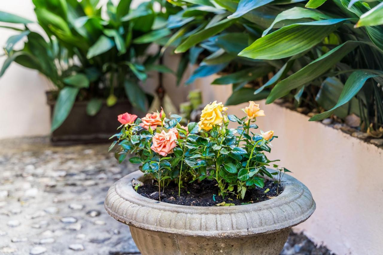 Sara Apartman Dubrovnik